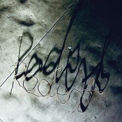 Rodent