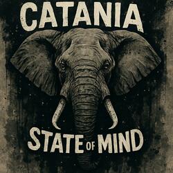 CATANIA STATE OF MIND (feat. B.I.G V)
