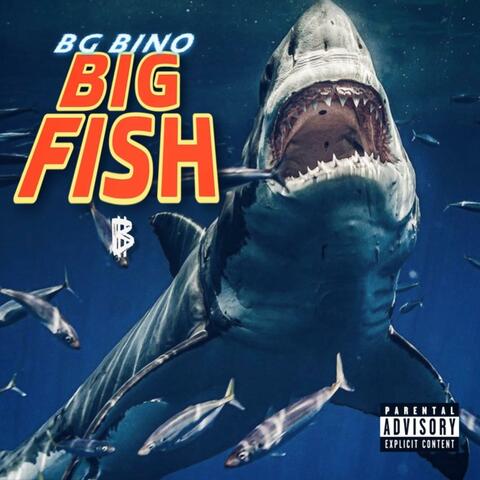Big Fish