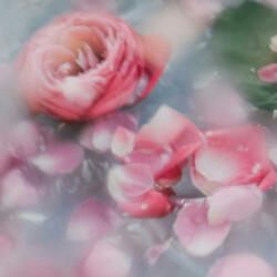 another love song (sorry)