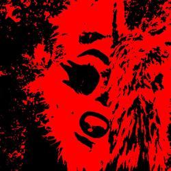 The Darkend Mind Of A Fox