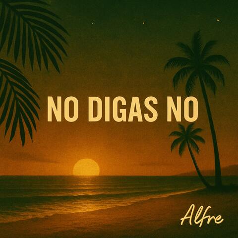 NO DIGAS NO