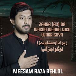 Zahra Da Wasda Wehrra Ujarr Gaya | Noha 21 Ramzan Shahadat Mola Ali (feat. Meesam Behlol)