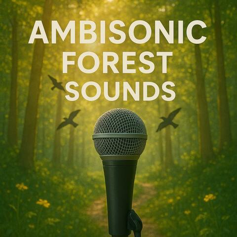 Ambisonic Forest Sounds