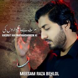 Hasrat Hai Matamdaroon Ki | 8 Shawwal Noha Jannat ul Baqi (feat. Meesam Behlol)