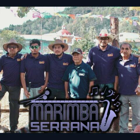 Puro MS Compa 2019
