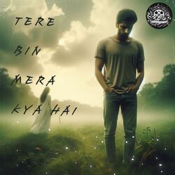 Tere Bin Mera Kya Hai