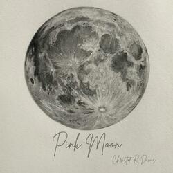 Pink Moon