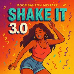 Shake it 3.0 (Moombathon mixtape 2025)