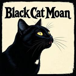 Black Cat Moan