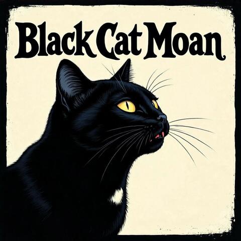 Black Cat Moan