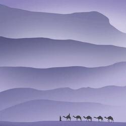 Winds of Calm