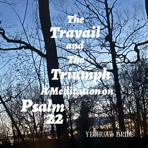The Travail and The Triumph (A Meditation on Psalm 22)