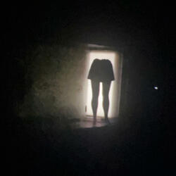 Who's the Shadow