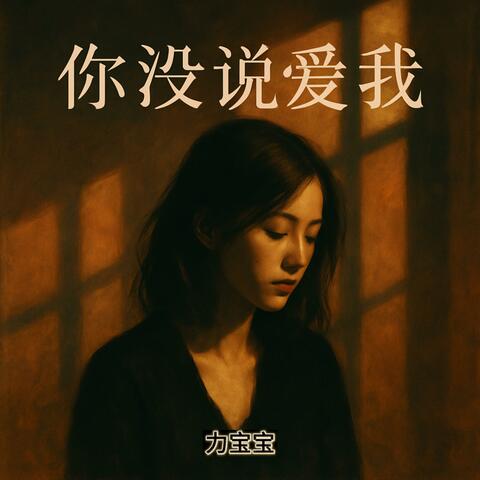 你没说爱我
