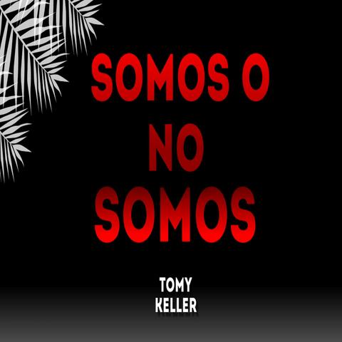 Somos o no somos