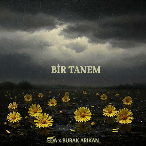 Bir Tanem (feat. Burak Arıkan)