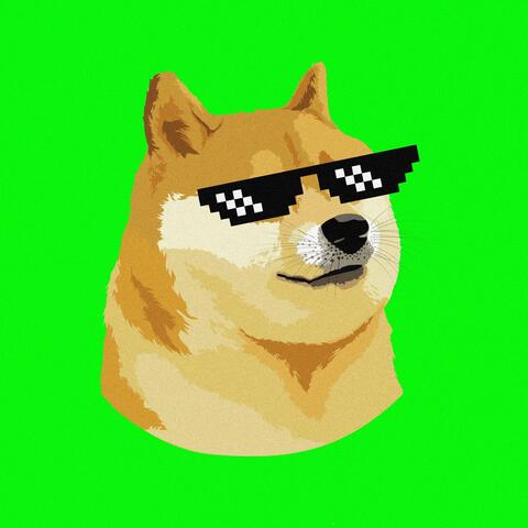 DOGE MEME SONG (REMIX)