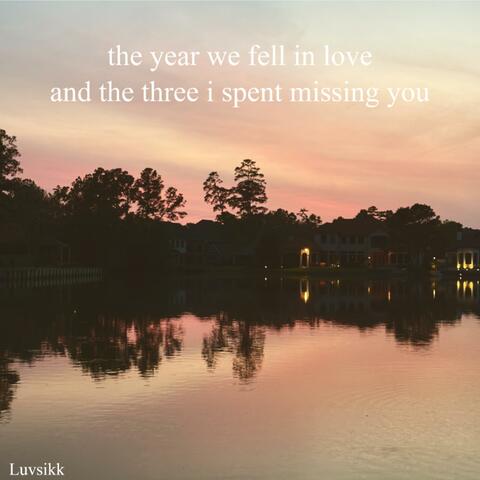the year we fell in love and the three i spent missing you