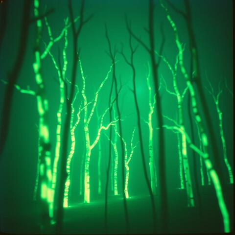 Neon Phantoms