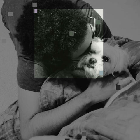 a song about my dog (i miss my baby)