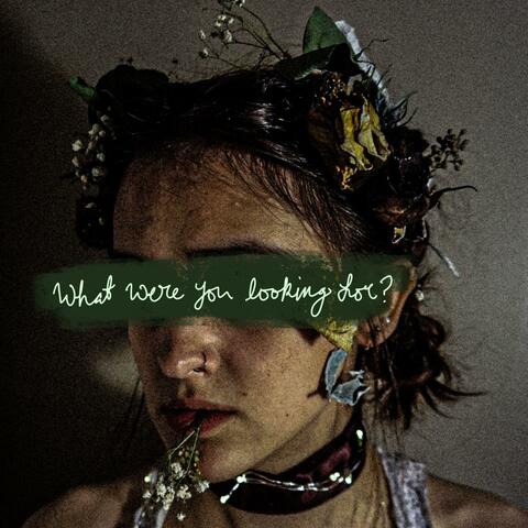 What were you looking for?