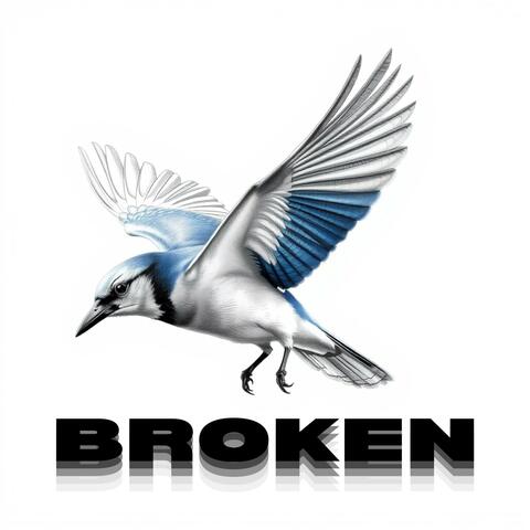 BROKEN