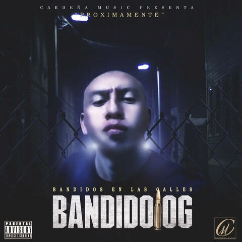 Bandidos en las Calles
