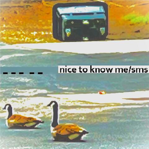 nice to know me/sms