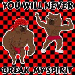 YOU WILL NEVER BREAK MY SPIRIT