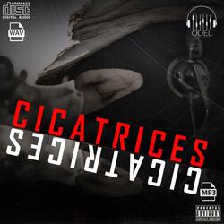 Cicatrices