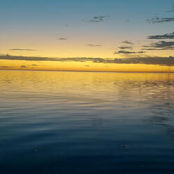 Solace?