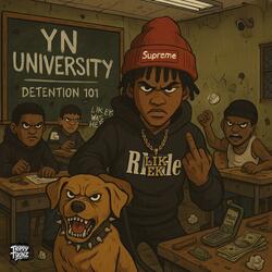 YN University
