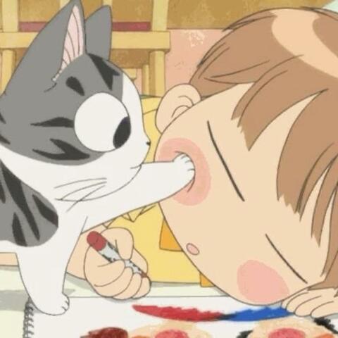 cat cafe