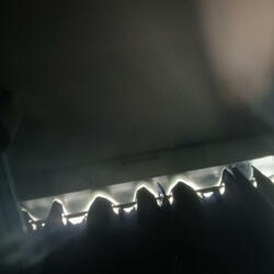 Luck Of One Thousand Clovers