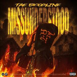 Misunderstood