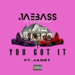 You Got It (feat. Janet)