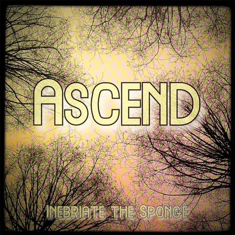 Ascend