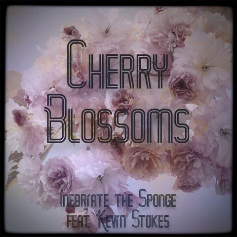 Cherry Blossom