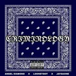 CRIMINOLOGY