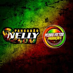 dhola dhola reggae funk pvp nelly som