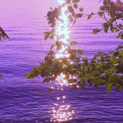 Perfect Cell (feat. Steezy Kai)