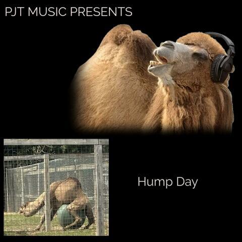 Hump Day
