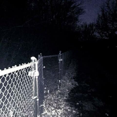BORN SINNER