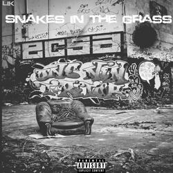 Snakes In The Grass