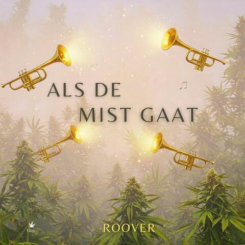 ALS DE MIST GAAT