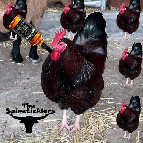 The 'Cluckin Chicken