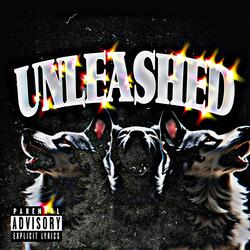 Unleashed
