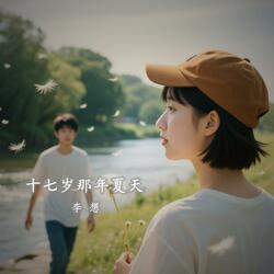 十七岁那年夏天