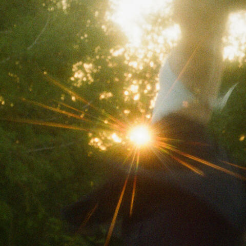 Diamond Light